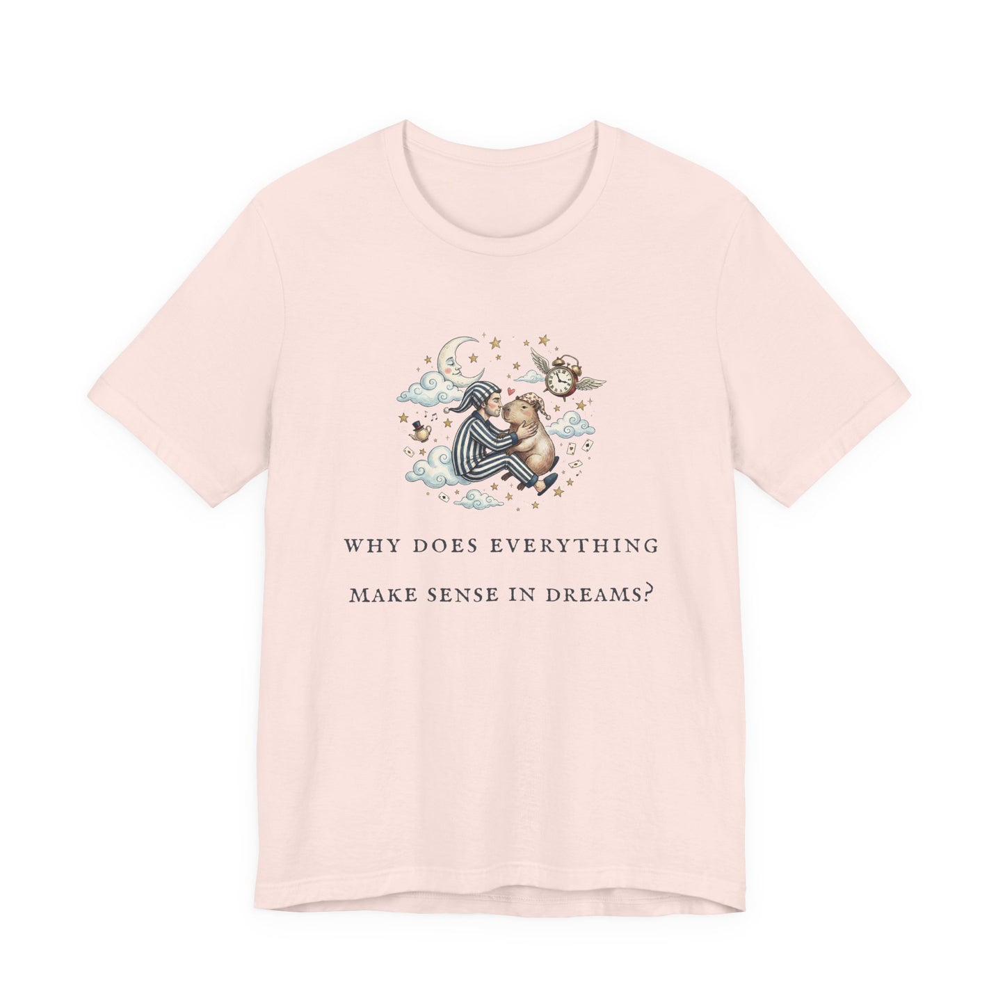 Why Does Everything Make Sense in Dreams (Unisex T-Shirt)