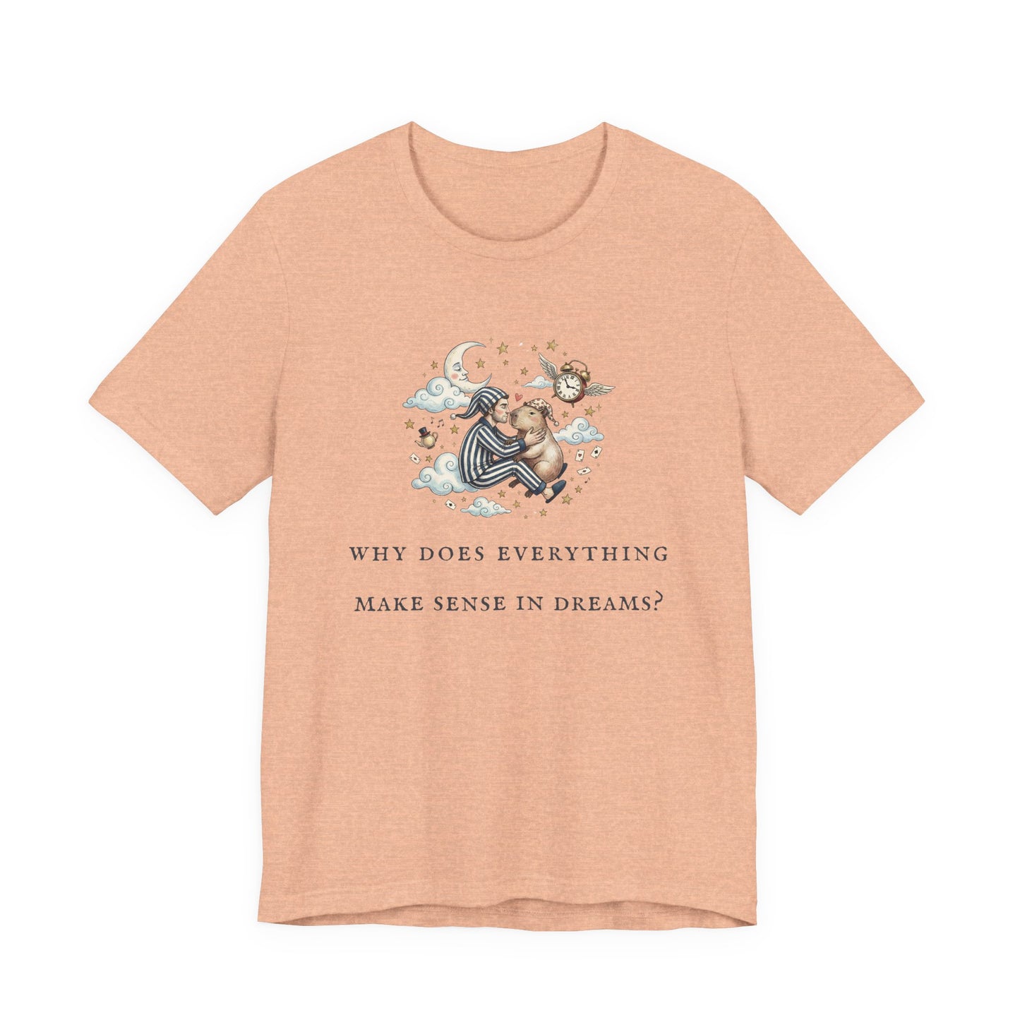 Why Does Everything Make Sense in Dreams (Unisex T-Shirt)