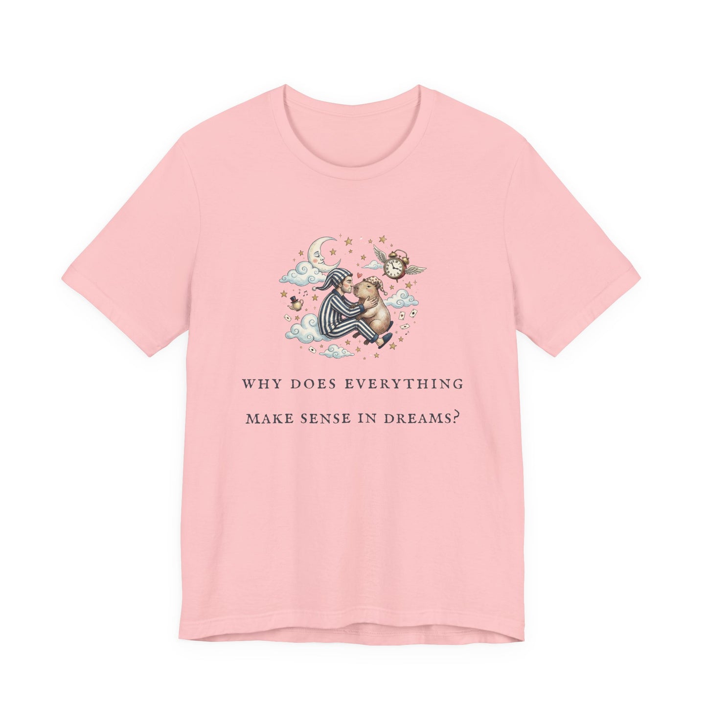 Why Does Everything Make Sense in Dreams (Unisex T-Shirt)